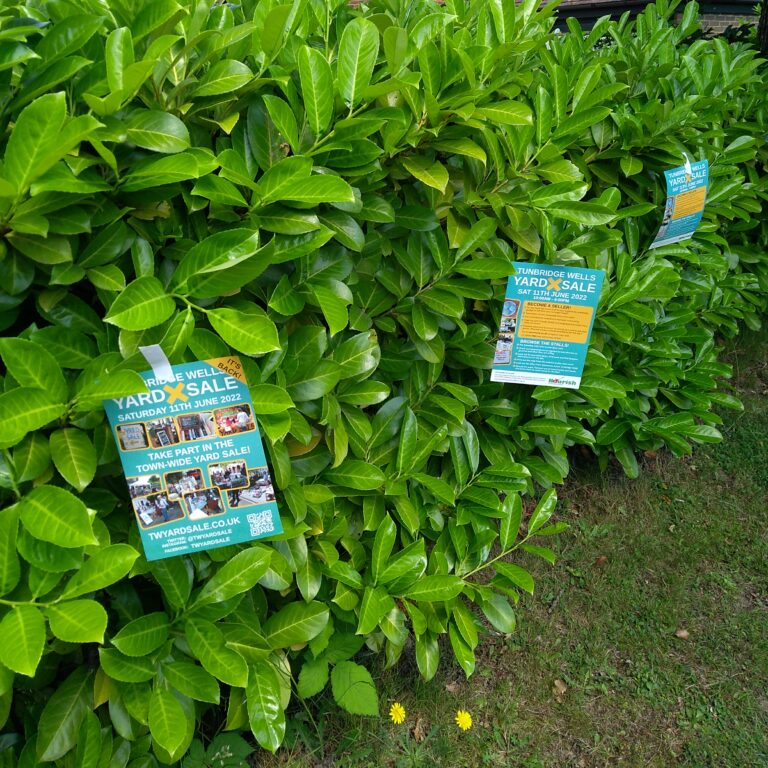 Square photo of TWYS flyers taped to a hedge