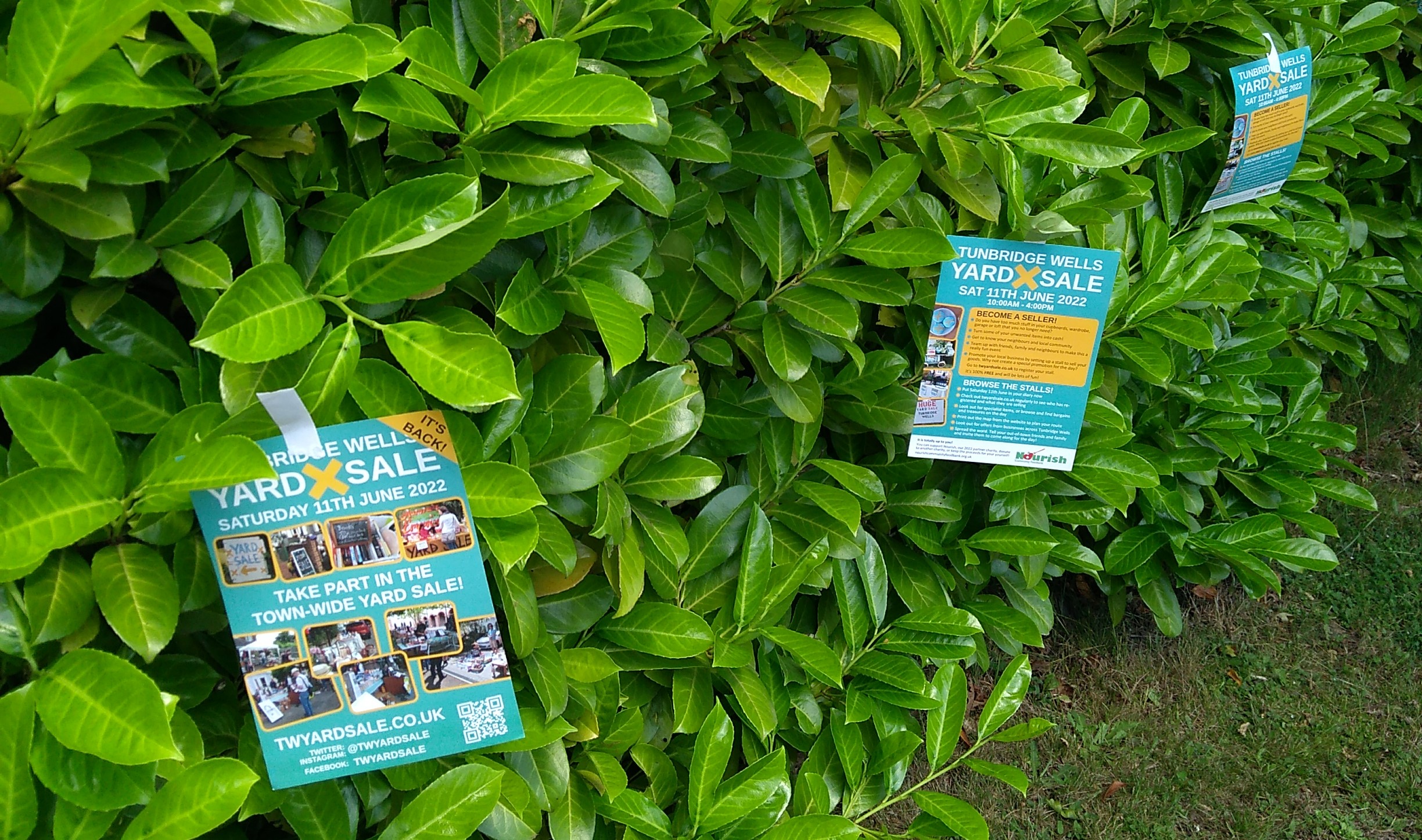 Tunbridge Wells Yard Sale flyers taped to a hedge.