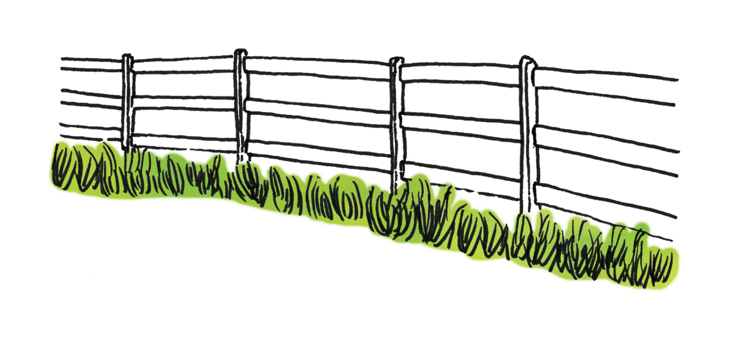 black line drawing of wooden fence, with a row of green grass growing along its base